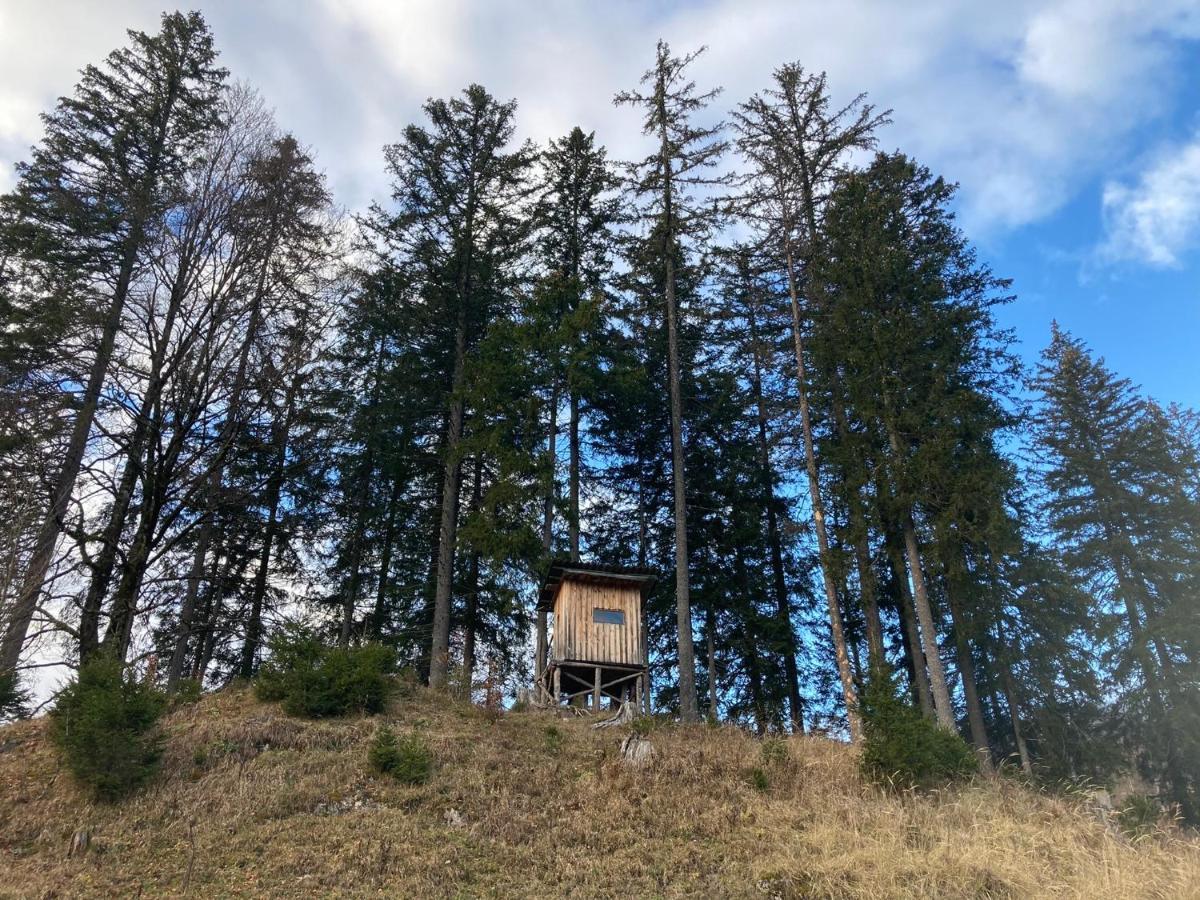 Chalet Вилдалпен Екстериор снимка