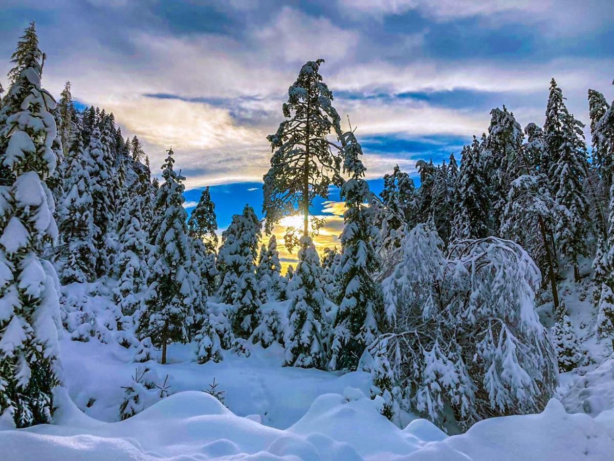 Chalet Вилдалпен Екстериор снимка