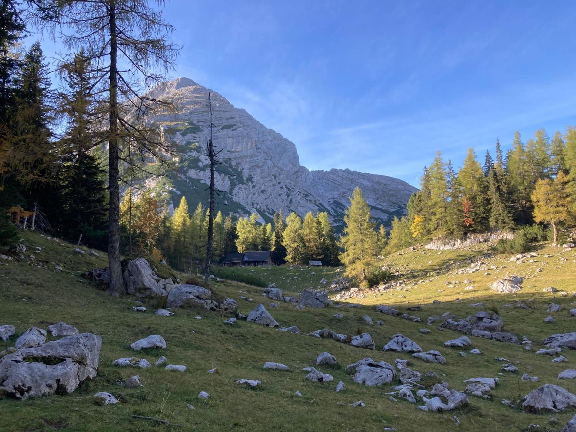 Chalet Вилдалпен Екстериор снимка