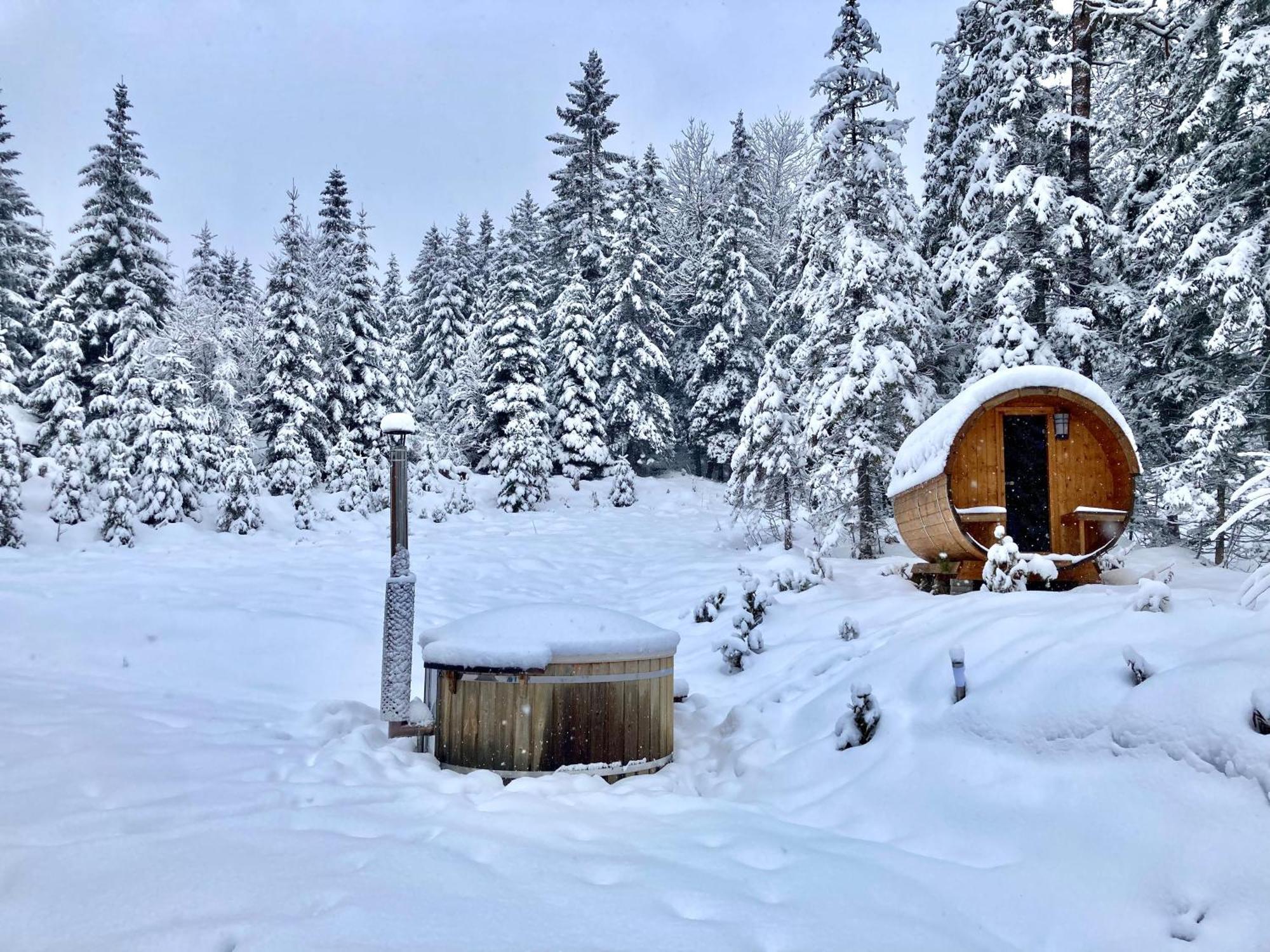 Chalet Вилдалпен Екстериор снимка