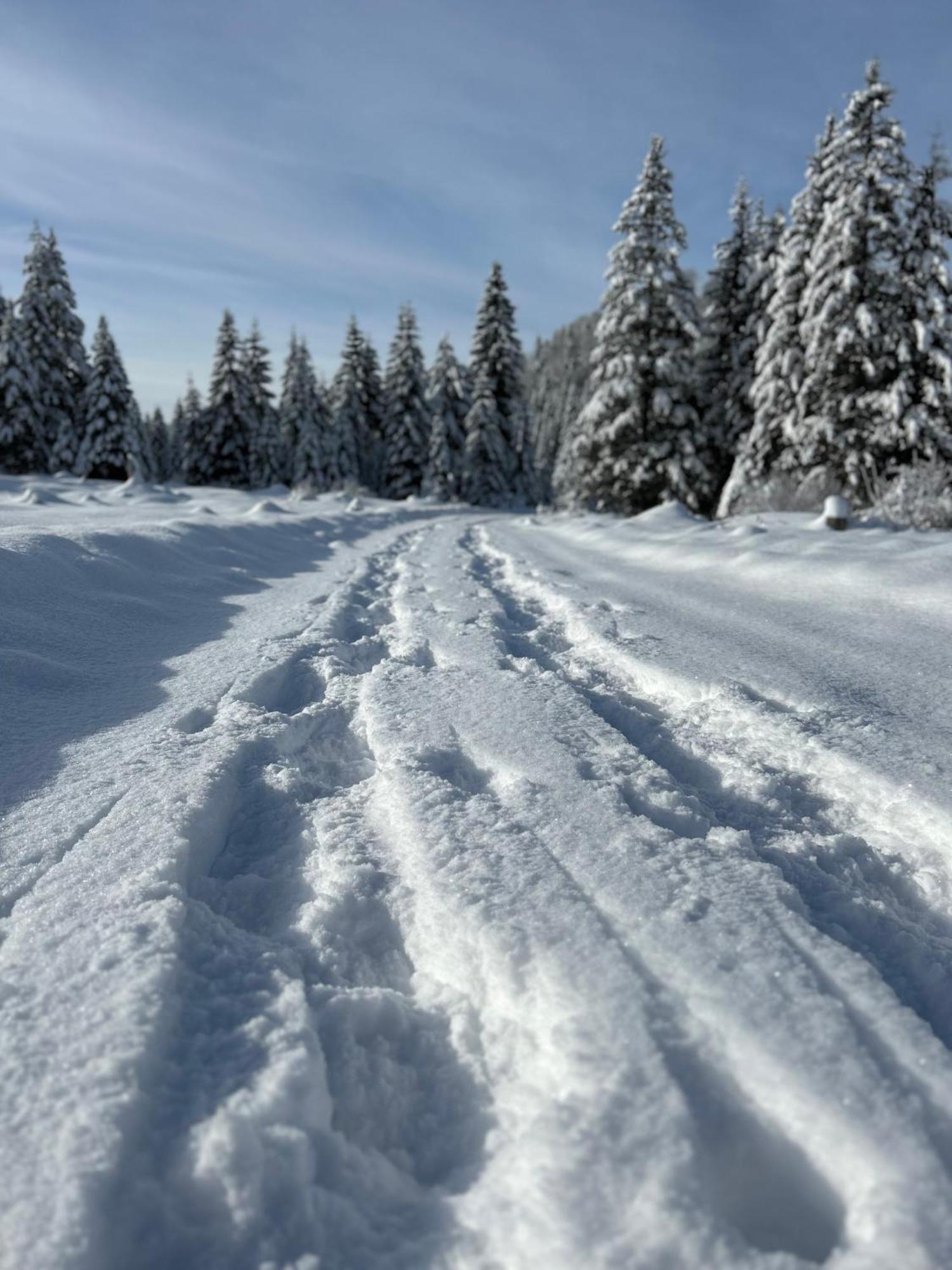Chalet Вилдалпен Екстериор снимка
